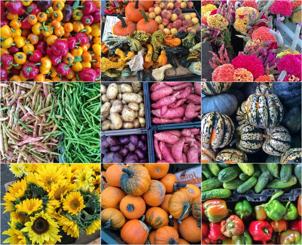 Farmers-Market-Fall-1024x830